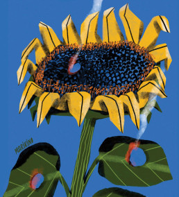 Ukraine nach vier Jahren Krieg 